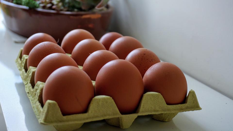 Eggs on tray