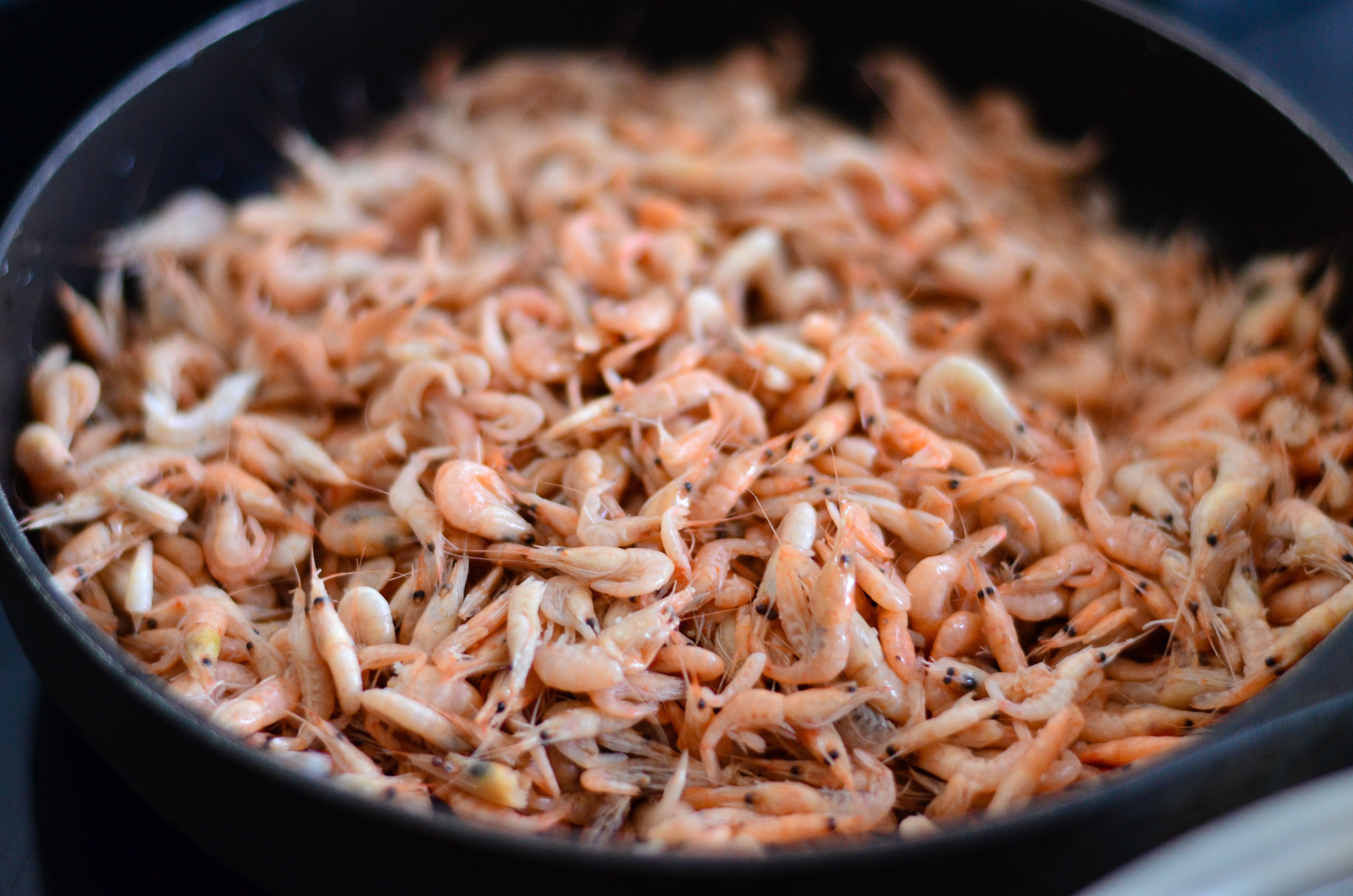 Hinilabos na alamang